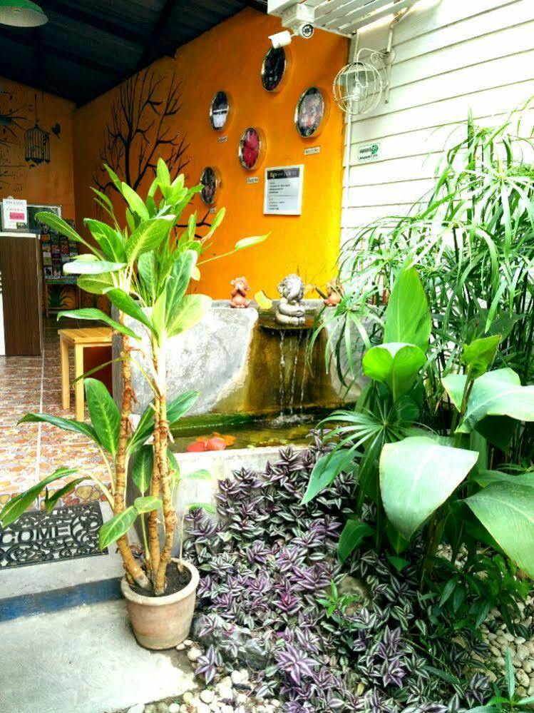 Yin Yang Guesthouse Chiang Mai Exterior photo